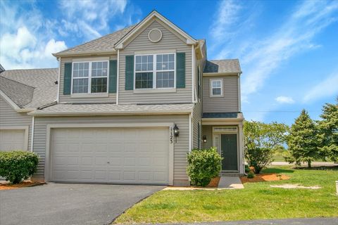 1123 Coneflower Court Minooka IL 60447
