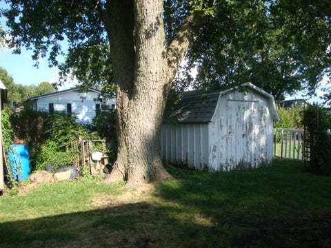 Tiny photo for 498 Park Street, Cissna Park, IL 60924 (MLS # 12691996)