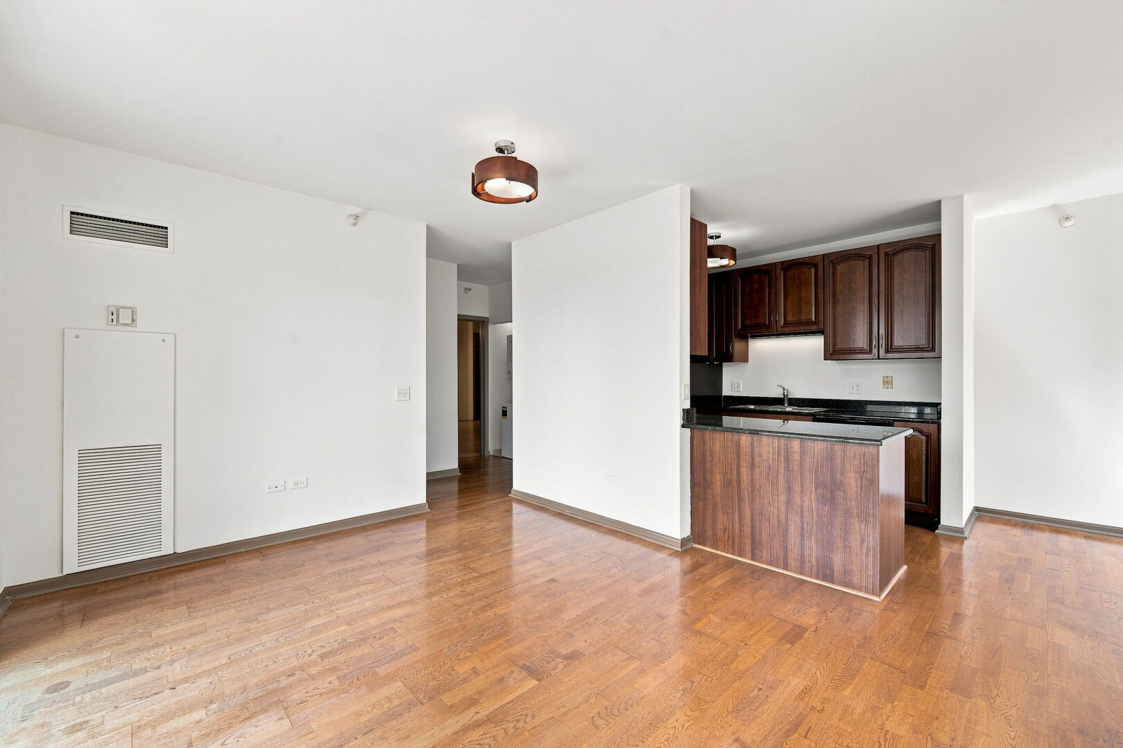 635 N Dearborn Street 902