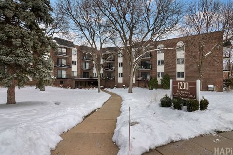 Photo of 1200 W Northwest Highway #305, Mount Prospect, IL 60056 (MLS # 12529697)