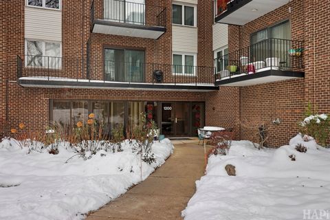 Tiny photo for 1200 W Northwest Highway #305, Mount Prospect, IL 60056 (MLS # 12529697)