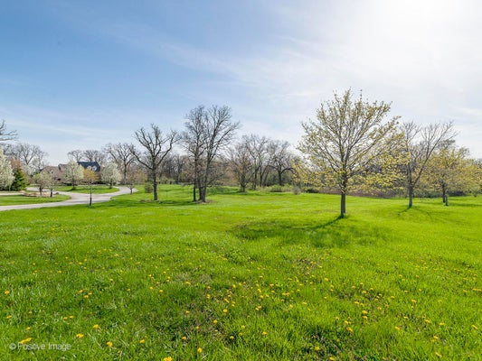 215 OAK BROOK RD, OAK BROOK, IL 60523 - Image 070489cd8b7b01e901d856bb10b4ef76/1604867752