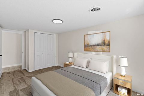 Tiny photo for 1501 43RD Street, Moline, IL 61265 (MLS # QC4269236)