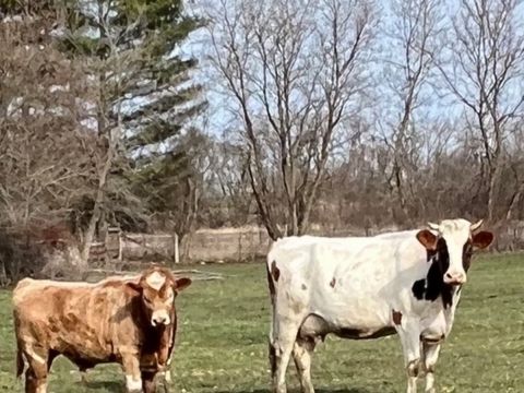 Tiny photo for 2110 Silver Leaf Drive, Island Lake, IL 60042 (MLS # 12578525)