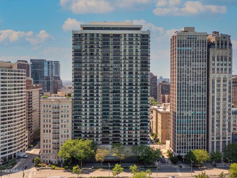 1212 N Lake Shore Drive 5AN Chicago IL 60610