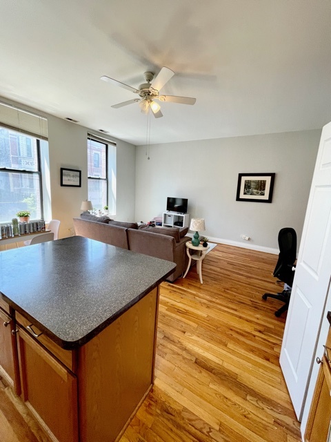 1459 N MILWAUKEE Avenue 2C