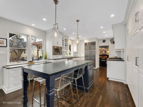 Tiny photo for 702 Courtland Circle, Western Springs, IL 60558 (MLS # 12569332)