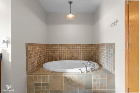 Tiny photo for 1064 N 129th Infantry Drive, Joliet, IL 60435 (MLS # 12566341)