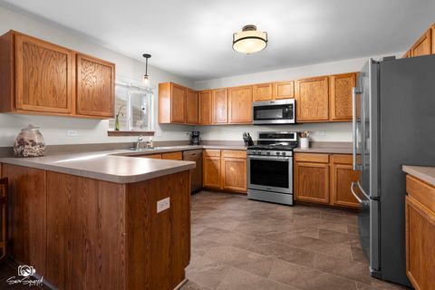 Tiny photo for 1064 N 129th Infantry Drive, Joliet, IL 60435 (MLS # 12566341)