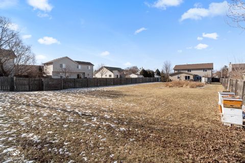 Tiny photo for 1064 N 129th Infantry Drive, Joliet, IL 60435 (MLS # 12566341)