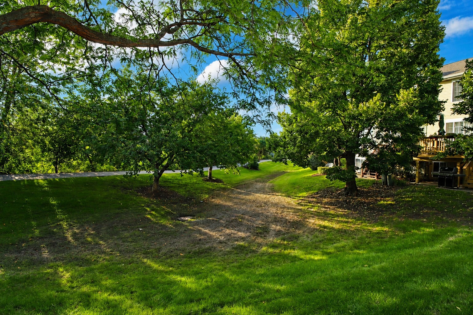 5559 Elizabeth Place