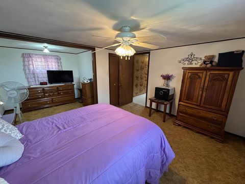 Tiny photo for 317 S Walnut Street, Shannon, IL 61078 (MLS # 12635231)