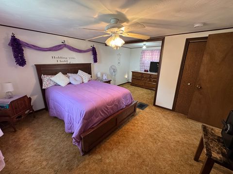 Tiny photo for 317 S Walnut Street, Shannon, IL 61078 (MLS # 12635231)