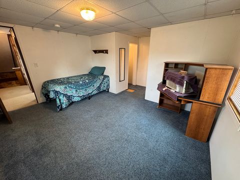 Tiny photo for 317 S Walnut Street, Shannon, IL 61078 (MLS # 12635231)