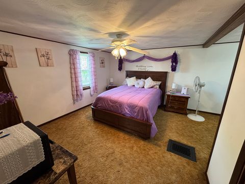 Tiny photo for 317 S Walnut Street, Shannon, IL 61078 (MLS # 12635231)