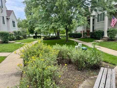 Tiny photo for 1333 NEW HAVEN Drive #1333, Cary, IL 60013 (MLS # 12691474)