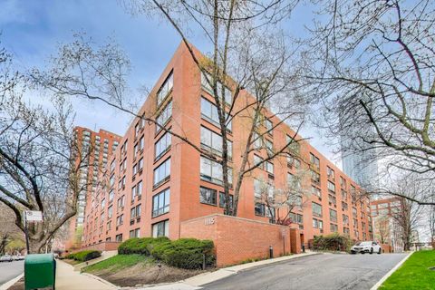 1115 S Plymouth Court 107 Chicago IL 60605