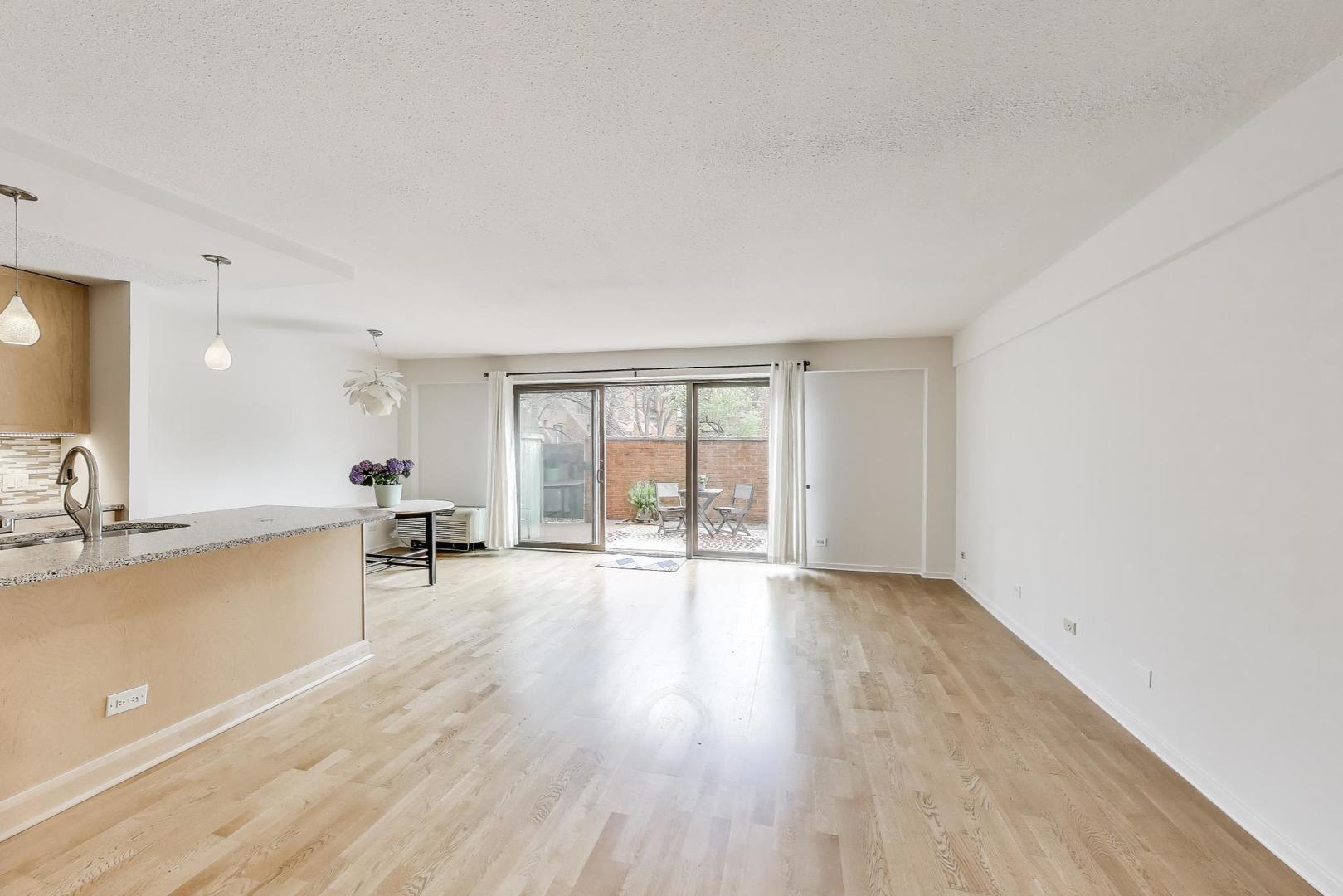 1115 S Plymouth Court 107