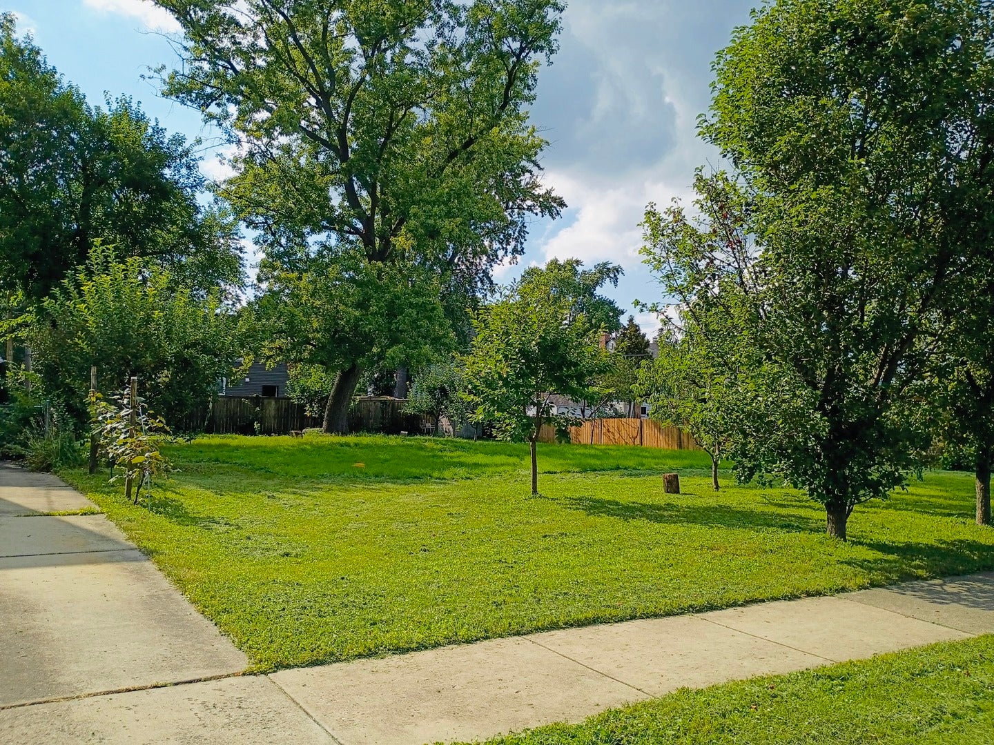 290 Woodbridge Road