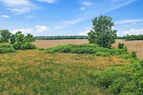 Tiny photo for 1365 Pheasant Trail, Hampshire, IL 60140 (MLS # 12702791)