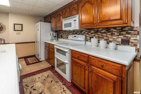 Tiny photo for 15866 Moellers Road, Marion, IL 62959 (MLS # EB459406)