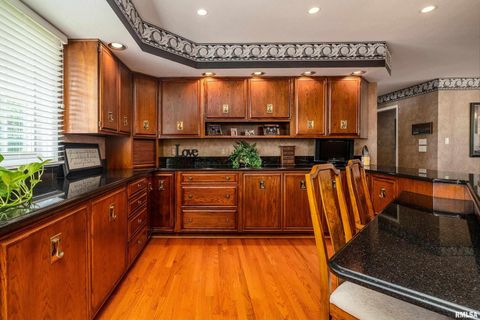 Tiny photo for 15866 Moellers Road, Marion, IL 62959 (MLS # EB459406)