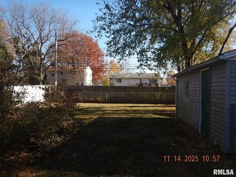 Tiny photo for 814 4TH Street, Colona, IL 61241 (MLS # QC4269510)