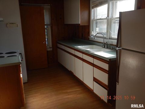 Tiny photo for 814 4TH Street, Colona, IL 61241 (MLS # QC4269510)