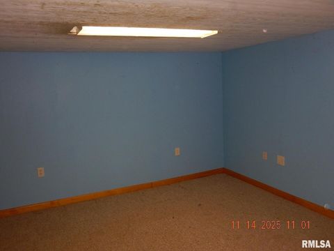 Tiny photo for 814 4TH Street, Colona, IL 61241 (MLS # QC4269510)