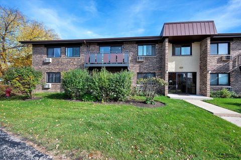 Photo of 2620 N Windsor Drive #201, Arlington Heights, IL 60004 (MLS # 12486874)