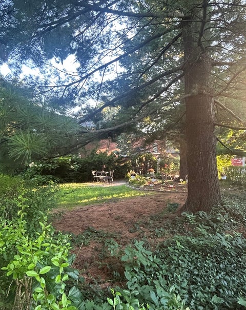Tiny photo for 7030 N Ionia Avenue, Chicago, IL 60646 (MLS # 12703847)