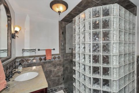 Tiny photo for Chicago, IL 60643 (MLS # 12656897)