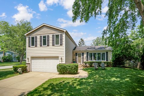 5S640 Bluff Lane Naperville IL 60540
