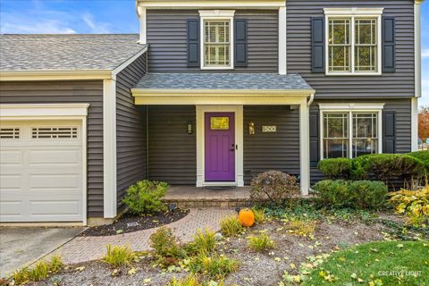 Tiny photo for 500 N Lyle Avenue, Elgin, IL 60123 (MLS # 12509954)