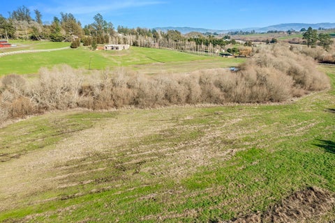 Tiny photo for 3006 Bloomfield Road, Sebastopol, CA 95472 (MLS # 12786072)