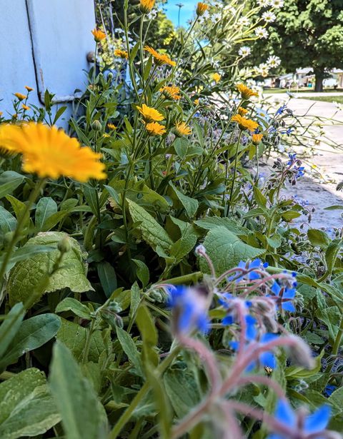 Tiny photo for 2829 Chippewa Drive, Bourbonnais, IL 60914 (MLS # 12585961)