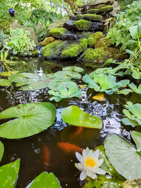 Tiny photo for 2829 Chippewa Drive, Bourbonnais, IL 60914 (MLS # 12585961)