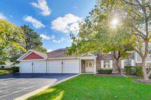 609 Hanover Court X-1 Schaumburg IL 60194