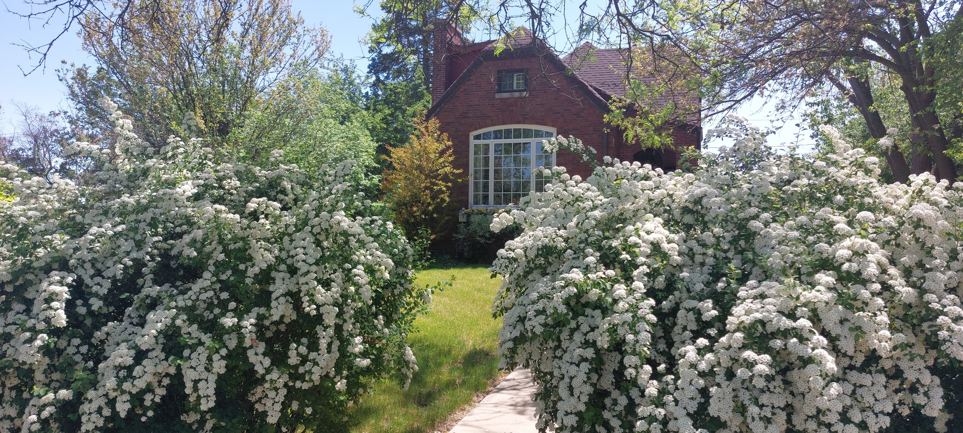 19 W Hattendorf Avenue