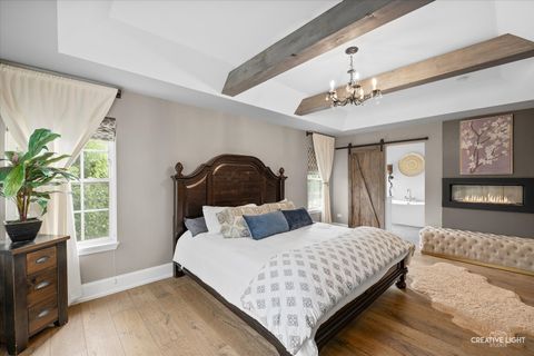 Tiny photo for 26414 Rustling Birch Way, Plainfield, IL 60585 (MLS # 12430921)