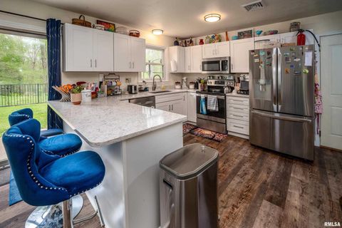 Tiny photo for 2017 W NORWOOD Drive, Carbondale, IL 62901 (MLS # EB459736)