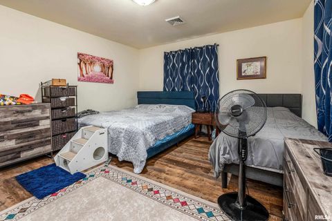 Tiny photo for 2017 W NORWOOD Drive, Carbondale, IL 62901 (MLS # EB459736)