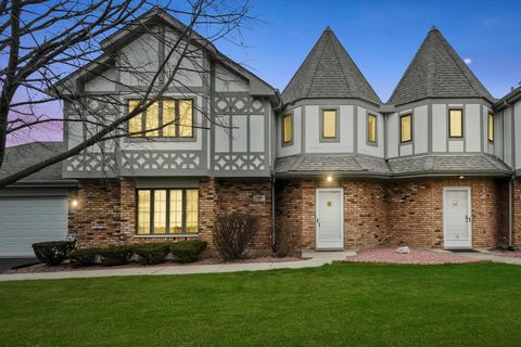 11605 S Vienna Avenue Palos Park IL 60464
