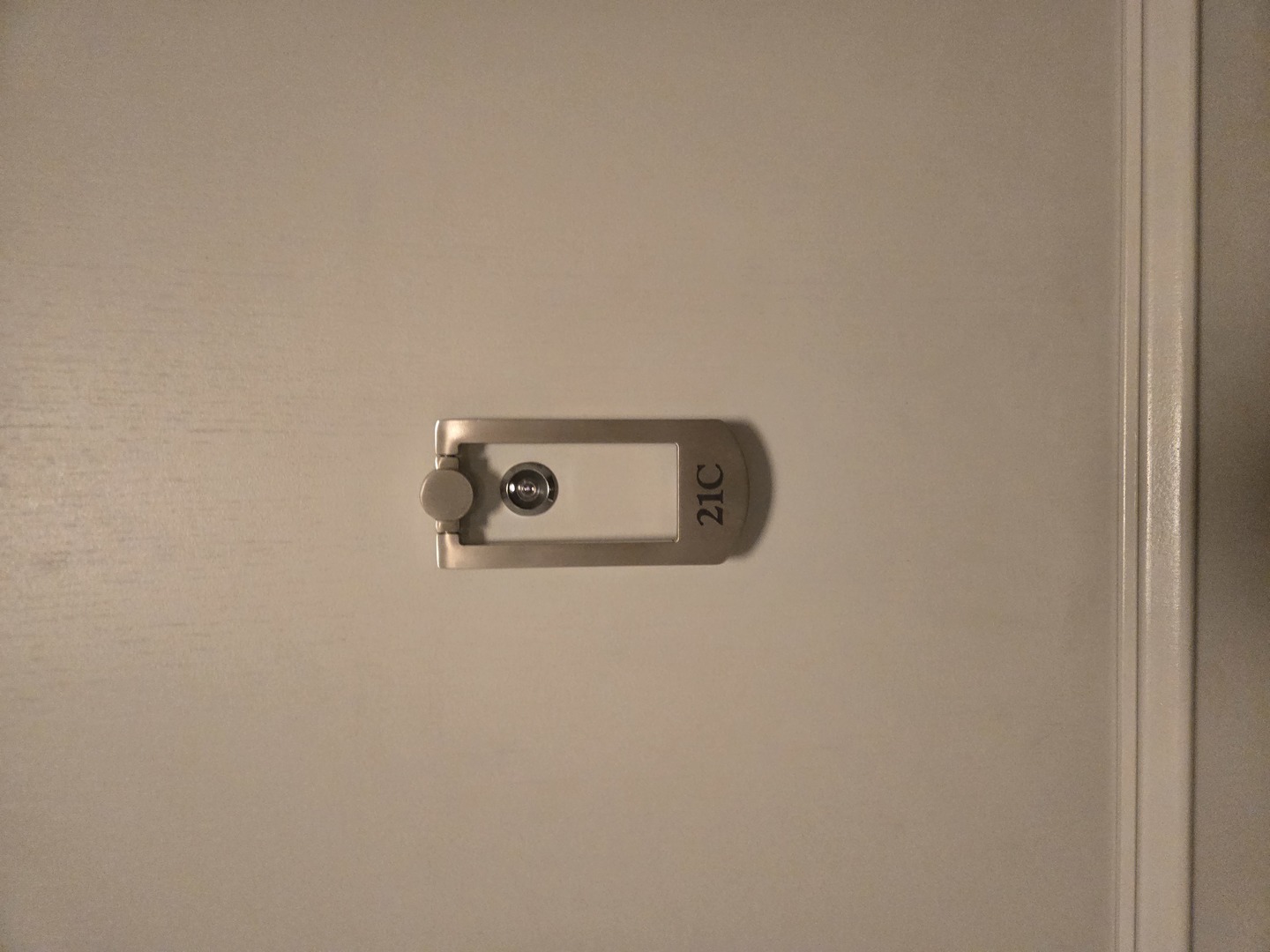 40 E Cedar Street 21C