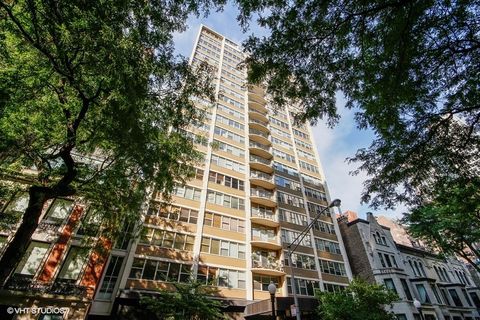 40 E Cedar Street 21C Chicago IL 60611