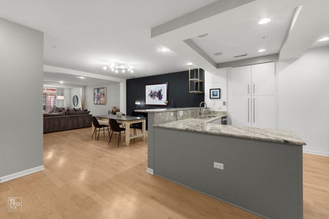 Tiny photo for 433 N Wells Street #201, Chicago, IL 60654 (MLS # 12788658)