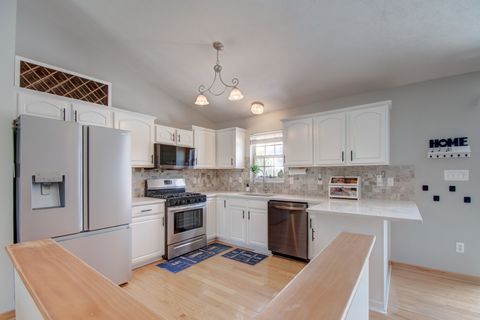 Tiny photo for 9558 Grasselli Avenue, St. John, IN 46373 (MLS # 12450113)