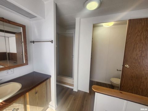 Tiny photo for 10553 Torrance Road, Carbondale, IL 62901 (MLS # EB457206)