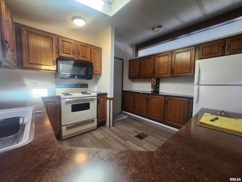 Tiny photo for 10553 Torrance Road, Carbondale, IL 62901 (MLS # EB457206)