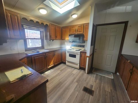 Tiny photo for 10553 Torrance Road, Carbondale, IL 62901 (MLS # EB457206)